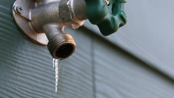 Best Shower Repair Services  in Holiday City South, NJ